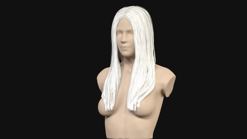 11Woman Long Hair 3D Model .c4d .max .obj .3ds .fbx .stl .blend 