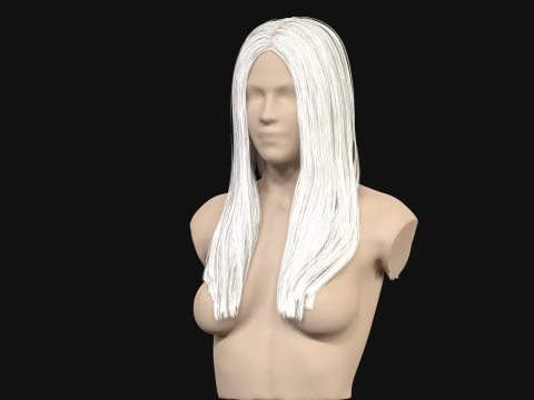 11Kadın Uzun Sa&ccedil; 3D Model