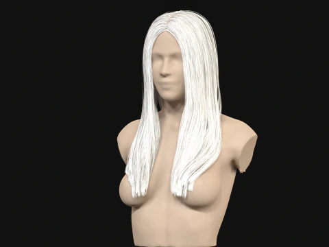 11Kadın Uzun Sa&ccedil; 3D Model