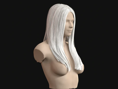 11Woman Long Hair 3D Model