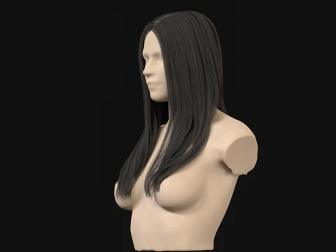 11Woman Long Hair 3D Model