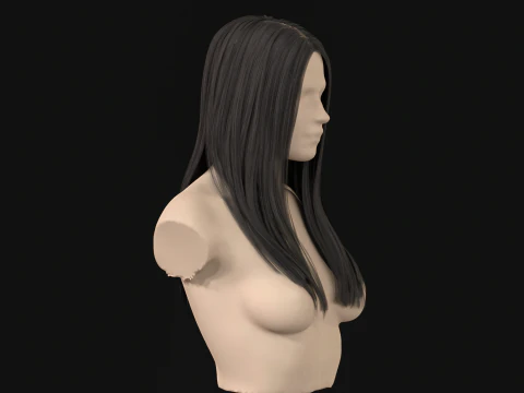 11Woman Long Hair 3D Model