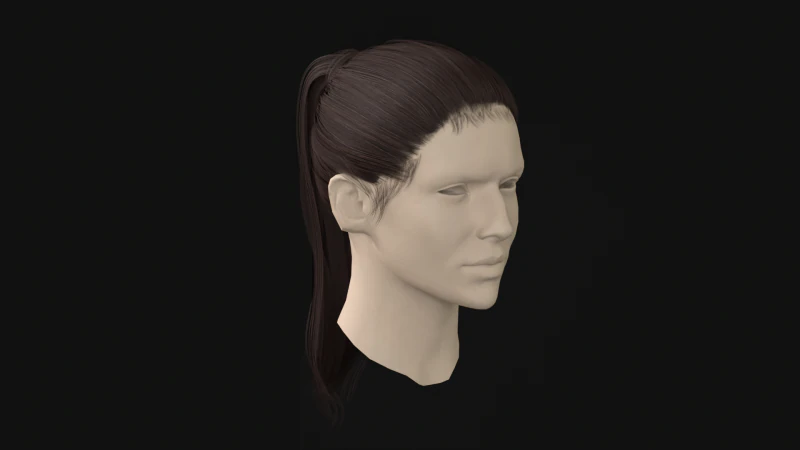 13Woman Hair Tail 3D Model .c4d .max .obj .3ds .fbx .stl .blend 