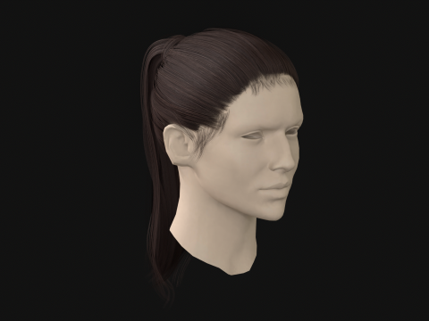 13Kadın Sa&ccedil; Kuyruğu 3D Model
