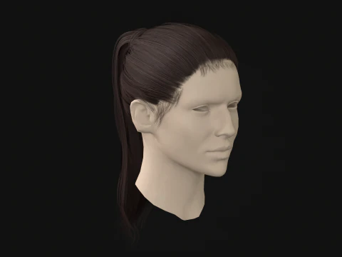 13Coda di capelli donna Modello 3D