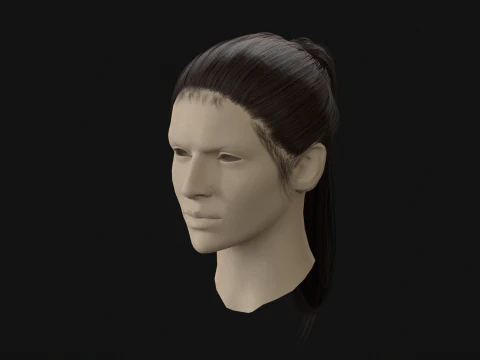 13Woman Hair Tail 3D Model