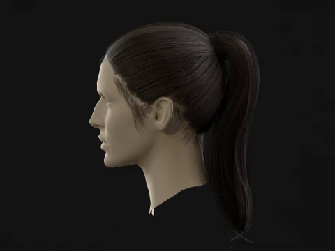 13Woman Hair Tail 3D Model