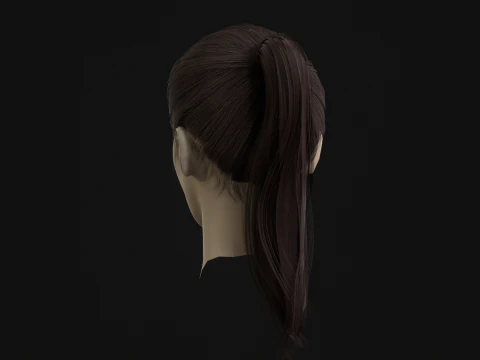 13Woman Hair Tail 3D Model