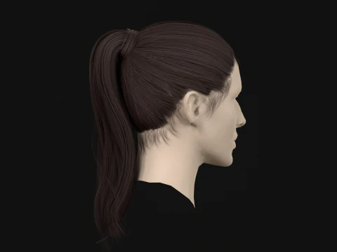 13Woman Hair Tail 3D Model