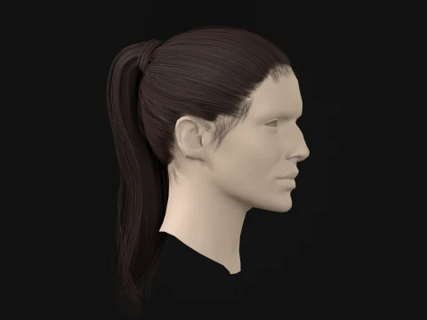 13Woman Hair Tail 3D Model