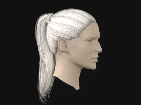 13Woman Hair Tail 3D Model