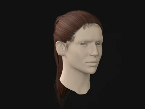 13Woman Hair Tail 3D Model