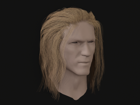 15AhillesHair 3D Model