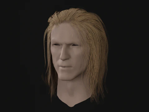 15AhillesHair 3D Model