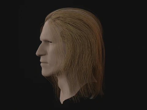 15AhillesHair 3D Model