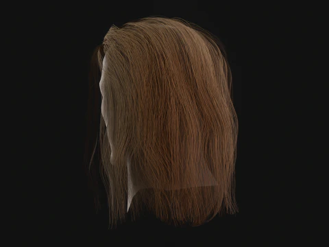 15AhillesHair 3D Model