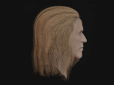 15AhillesHair 3D Model