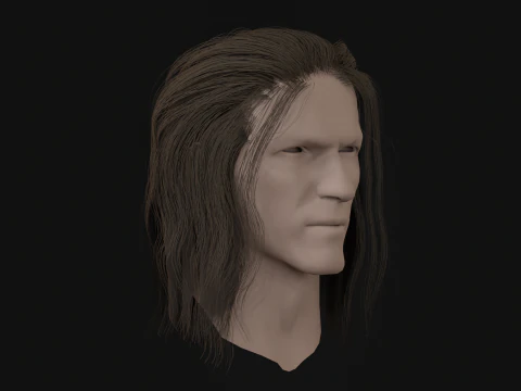 15AhillesHair 3D Model