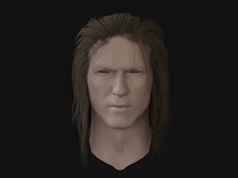 15AhillesHair 3D Model