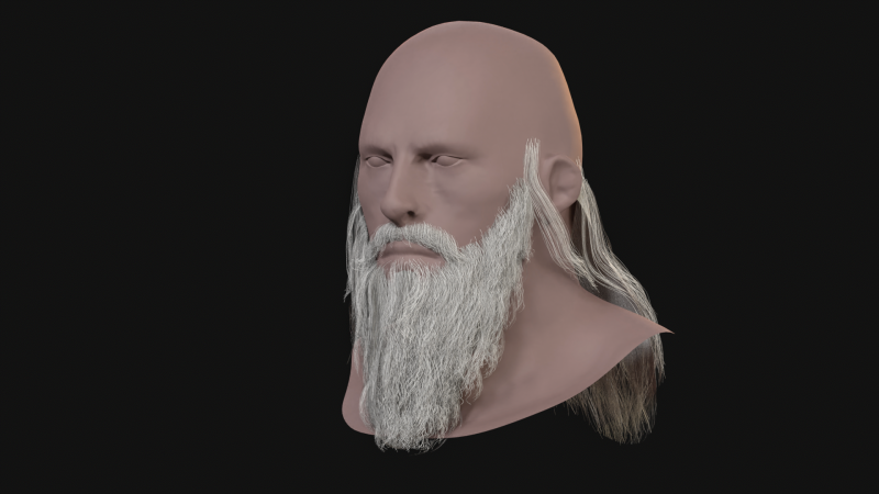 16. Barba eslava Modelo 3D .c4d .max .obj .3ds .fbx .stl .blend 
