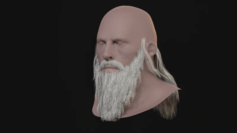 16Slavic Beard 3D Model .c4d .max .obj .3ds .fbx .stl .blend 