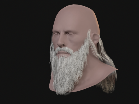 16. Barba eslava Modelo 3D