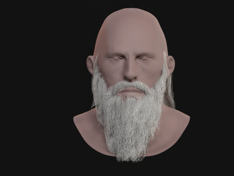 16. Barba eslava Modelo 3D