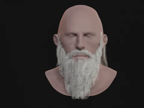 16Slavic Beard 3D Model