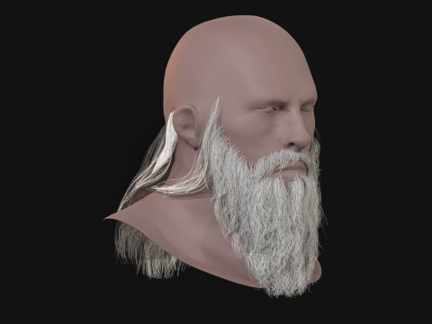 16. Barba eslava Modelo 3D