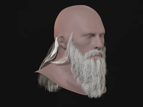 16Slavic Beard 3D Model