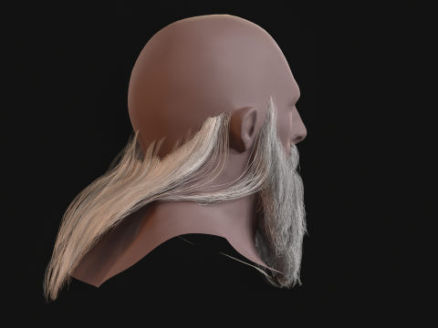 16. Barba eslava Modelo 3D