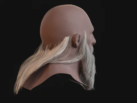 16Slavic Beard 3D Model