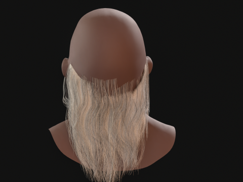 16. Barba eslava Modelo 3D