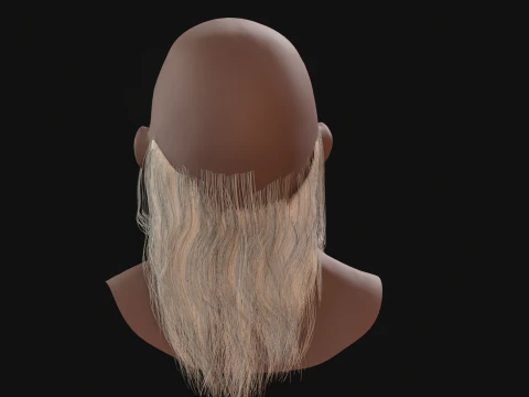 16Slavic Beard 3D Model