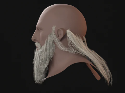 16Slavic Beard 3D Model
