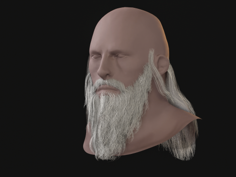 16. Barba eslava Modelo 3D