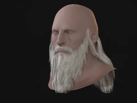 16Slavic Beard 3D Model