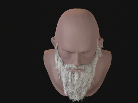 16. Barba eslava Modelo 3D