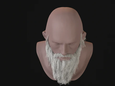 16Slavic Beard 3D Model