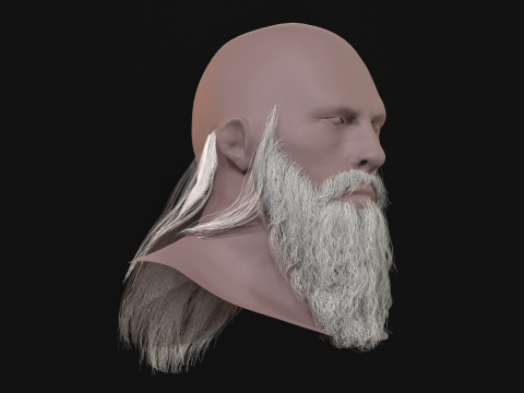 16. Barba eslava Modelo 3D