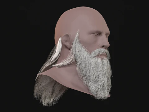 16Slavic Beard 3D Model