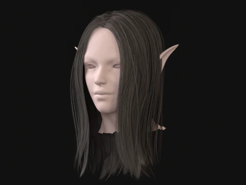17Elf Hair1 3D Model