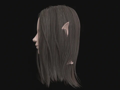 17Elf Hair1 3D Model
