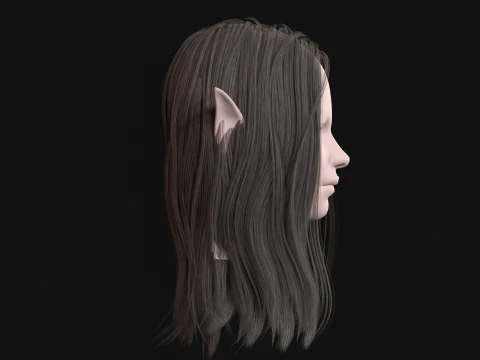 17Elf Hair1 3D Model