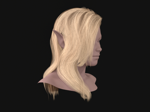 18Cheveux d'Elfe2 Modèle 3D