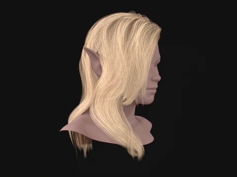 18Elf Hair2 3D Model