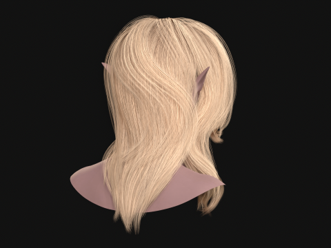 18Cheveux d'Elfe2 Modèle 3D