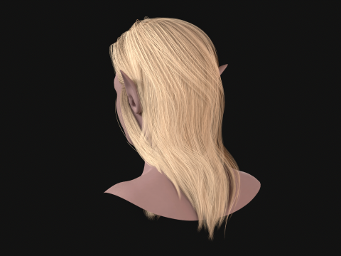 18Cheveux d'Elfe2 Modèle 3D