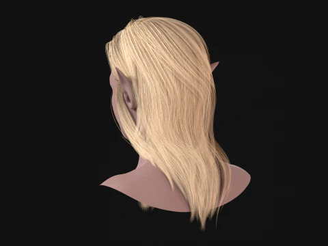 18Elf Hair2 3D Model