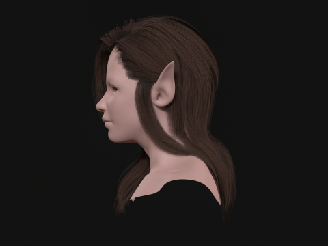 18Cheveux d'Elfe2 Modèle 3D